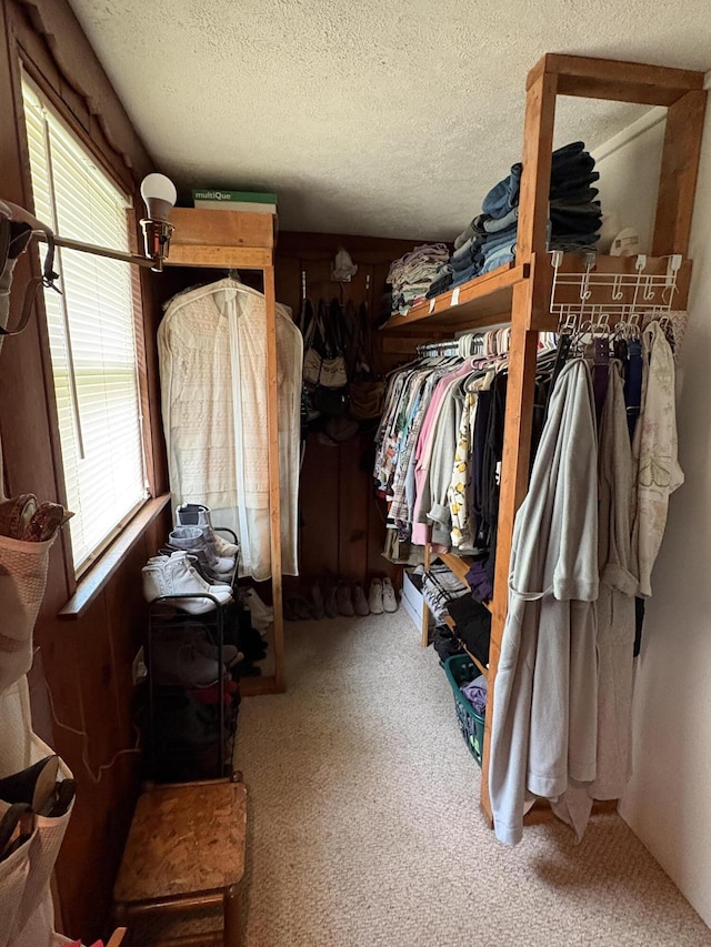 2065 Reggie Dr, Benton Harbor, MI 49022 - spacious closet featuring carpet floors