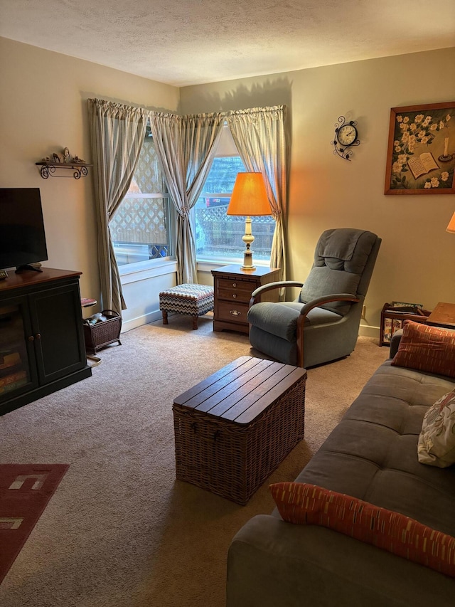 2065 Reggie Dr, Benton Harbor, MI 49022 - living room featuring carpet and a textured ceiling