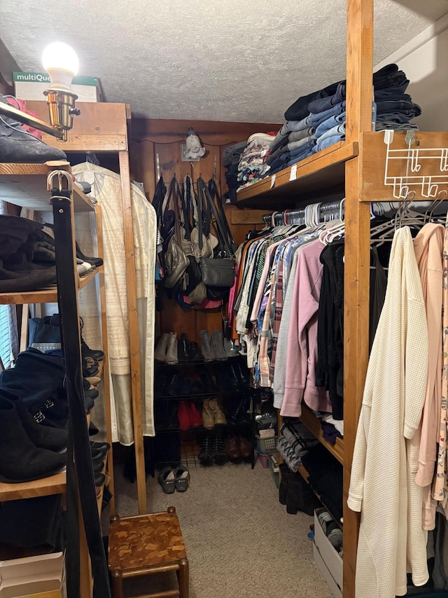 2065 Reggie Dr, Benton Harbor, MI 49022 - walk in closet with carpet floors