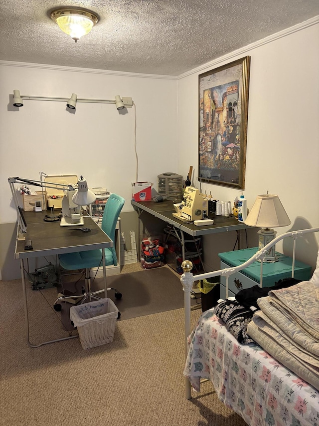 2065 Reggie Dr, Benton Harbor, MI 49022 - bedroom with a textured ceiling, carpet floors, and an office area