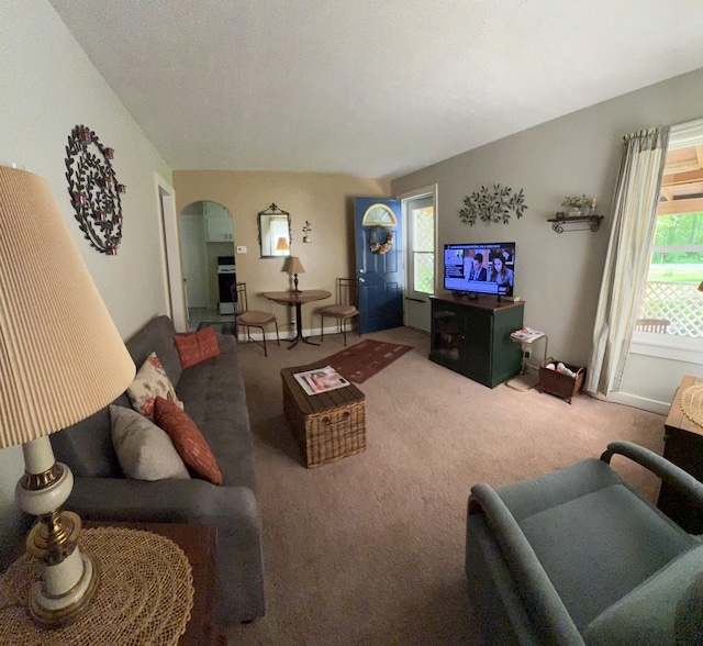 2065 Reggie Dr, Benton Harbor, MI 49022 - living area featuring carpet flooring and arched walkways