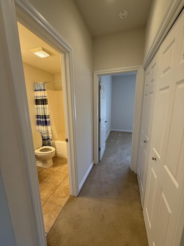 5798 Wacker Dr, Stevensville, MI 49127 - hall with light carpet and baseboards