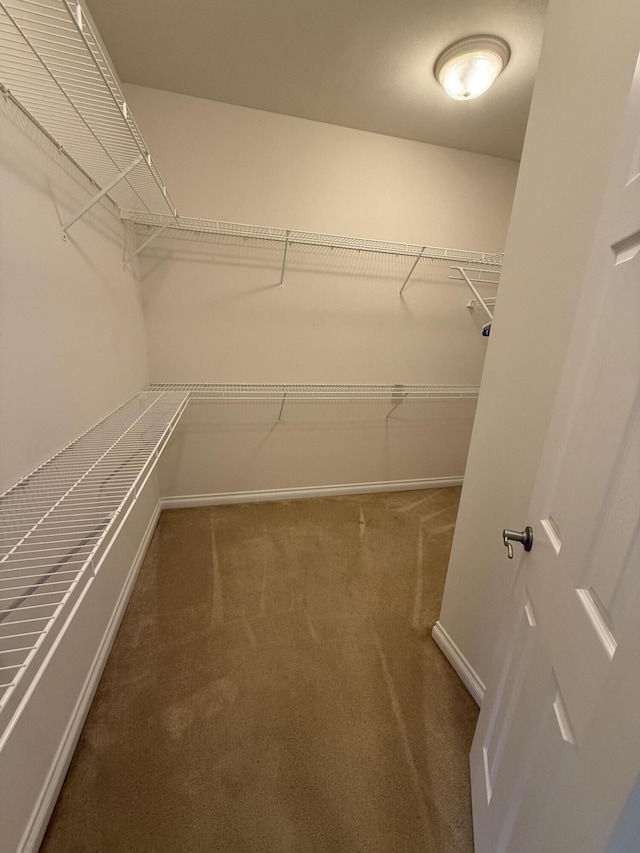 5798 Wacker Dr, Stevensville, MI 49127 - spacious closet featuring carpet floors
