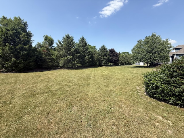 5798 Wacker Dr, Stevensville, MI 49127 - view of grassy yard