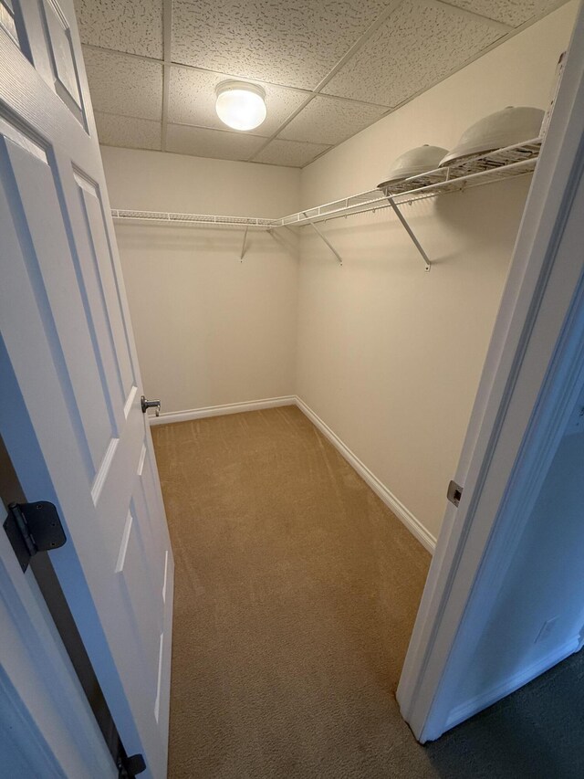 5798 Wacker Dr, Stevensville, MI 49127 - spacious closet with a drop ceiling and carpet floors