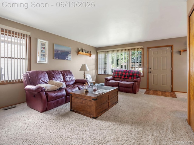 436 Orchard St, Wyandotte, MI 48192 - view of carpeted living room