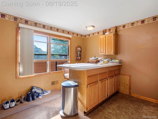 436 Orchard St, Wyandotte, MI 48192 - kitchen featuring a peninsula and light countertops
