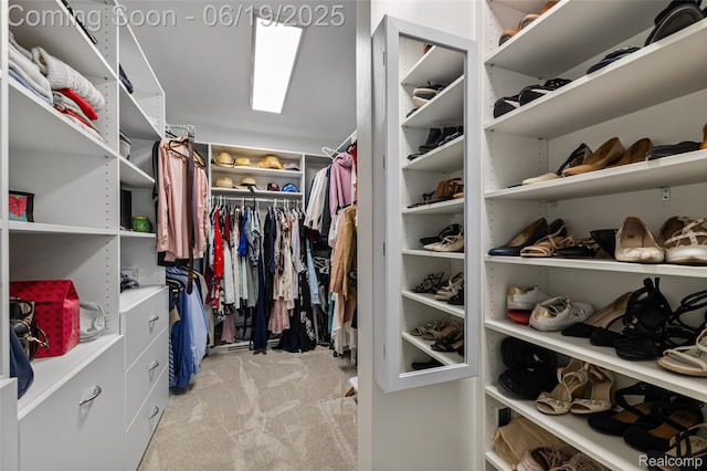 49775 Keycove St, Chesterfield, MI 48047 - spacious closet with light carpet