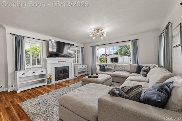 49775 Keycove St, Chesterfield, MI 48047 - living room featuring dark wood-style flooring, a chandelier, healthy amount of natural light, and a tile fireplace