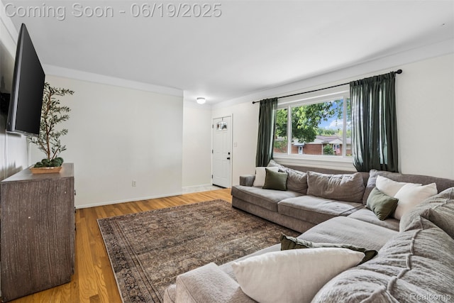 36203 Fernwood St, Westland, MI 48186 - living room featuring light wood-type flooring and baseboards