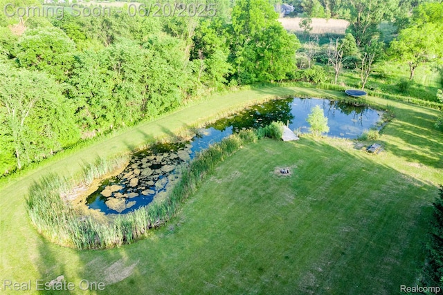 10125 Chase Lake Rd, Fowlerville, MI 48836 - photo 38