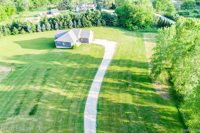 10125 Chase Lake Rd, Fowlerville, MI 48836 - photo 35
