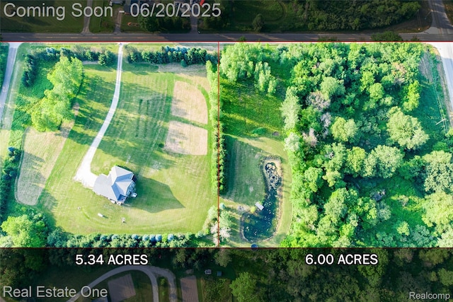 10125 Chase Lake Rd, Fowlerville, MI 48836 - photo 40