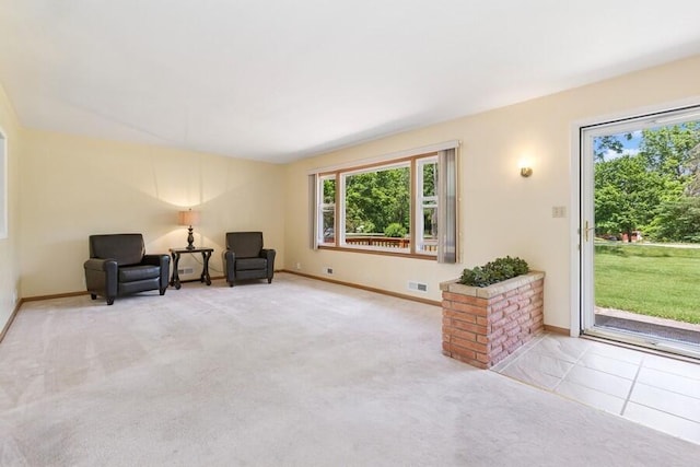 3202 Niles Buchanan Rd, Buchanan, MI 49107 - living area featuring baseboards and carpet