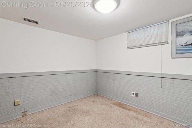 49212 Kimberly Ann Ln, Chesterfield, MI 48051 - carpeted empty room with wainscoting