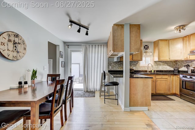 3626 Prairie Ave, Berkley, MI 48072 - kitchen with gas stove, dark countertops, healthy amount of natural light, and decorative backsplash