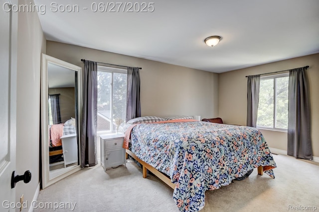 3626 Prairie Ave, Berkley, MI 48072 - bedroom featuring multiple windows and light carpet