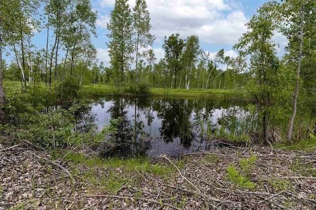 789 W Highwood Rd, Gladwin, MI 48624