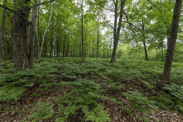 789 W Highwood Rd, Gladwin, MI 48624