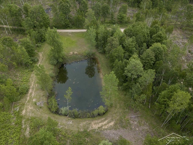 789 W Highwood Rd, Gladwin, MI 48624