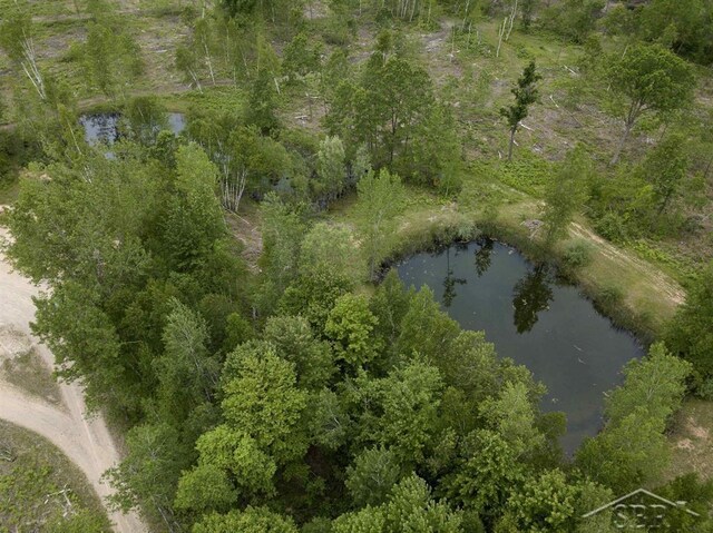 789 W Highwood Rd, Gladwin, MI 48624