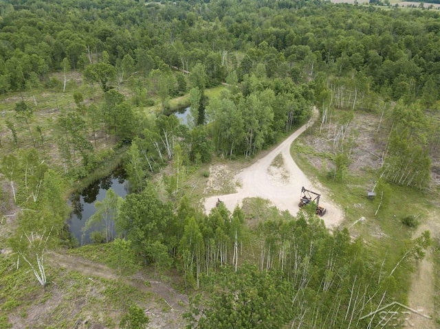 789 W Highwood Rd, Gladwin, MI 48624