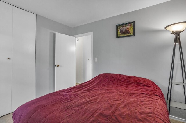 1603 Park Rd, Jackson, MI 49203 - bedroom with carpet floors