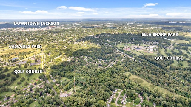1603 Park Rd, Jackson, MI 49203 - aerial overview of property's location