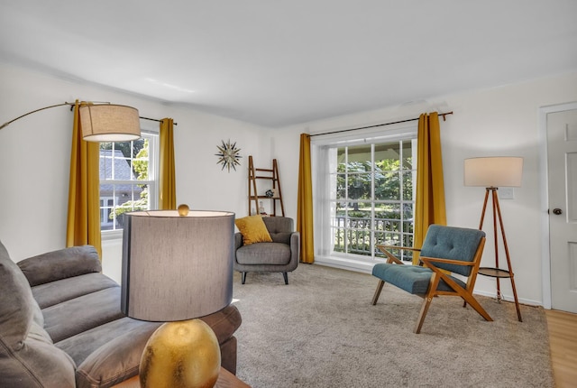 1603 Park Rd, Jackson, MI 49203 - view of living area