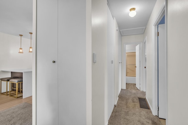 1603 Park Rd, Jackson, MI 49203 - hall featuring carpet flooring