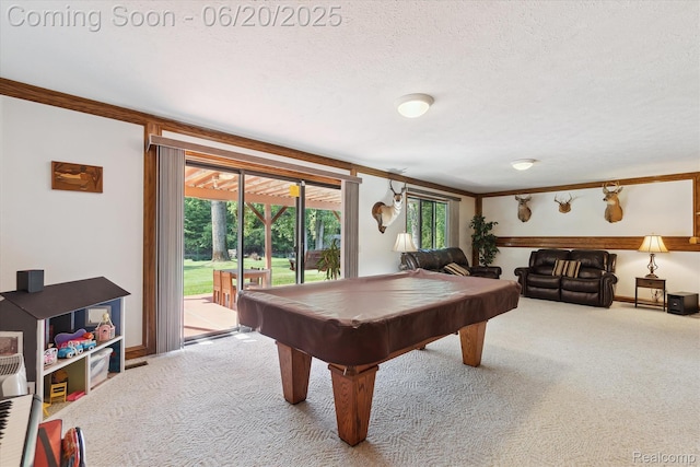 2386 Sherlock Trl, Highland, MI 48356 - game room with carpet floors, pool table, a textured ceiling, and ornamental molding