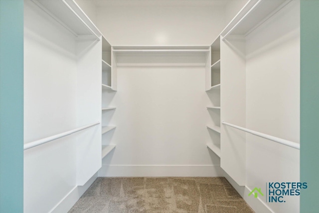 1827 Stratford Ln NW, Grand Rapids, MI 49534 - walk in closet featuring carpet floors
