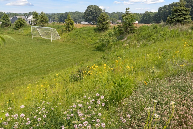 8167 Turning Stone, Kalamazoo, MI 49009 - view of yard featuring an area for sports