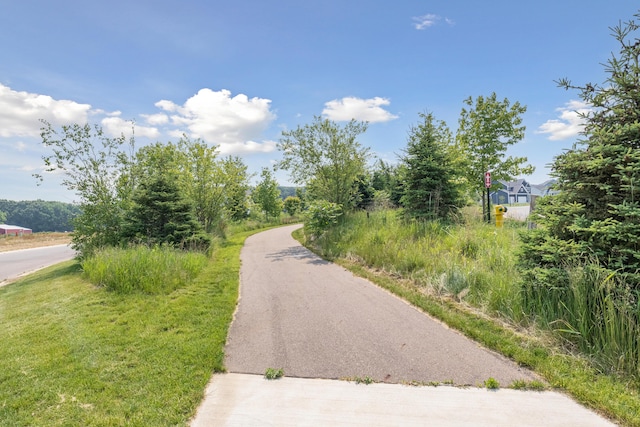 8167 Turning Stone, Kalamazoo, MI 49009 - view of road