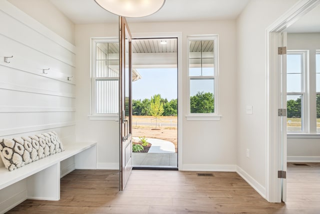 8167 Turning Stone, Kalamazoo, MI 49009 - entryway with plenty of natural light and wood finished floors