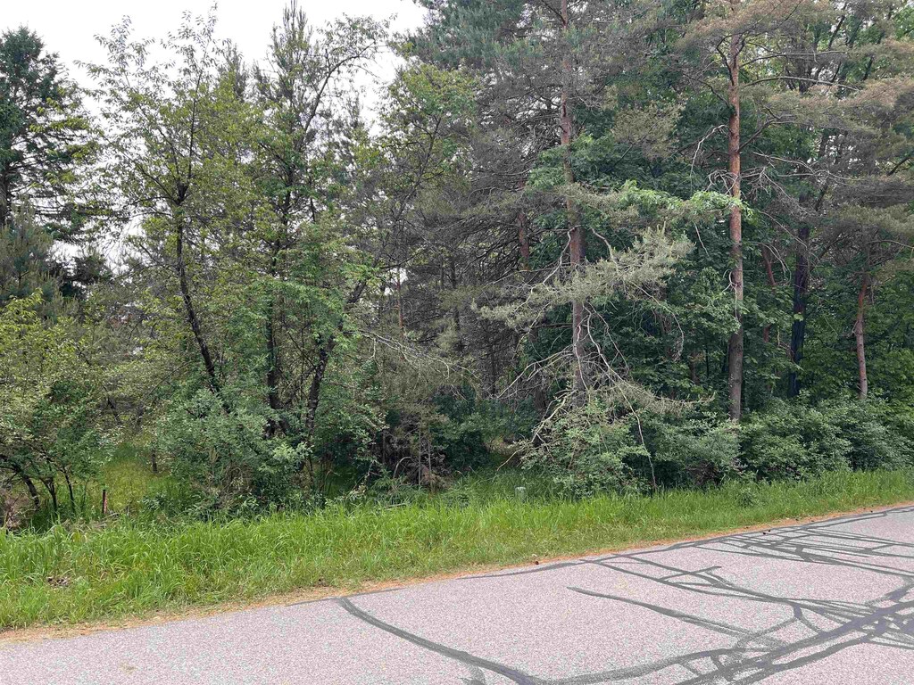 1018 Lincoln Dr, Weidman, MI 48893