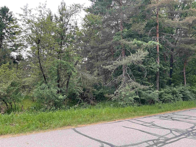 1018 Lincoln Dr, Weidman, MI 48893