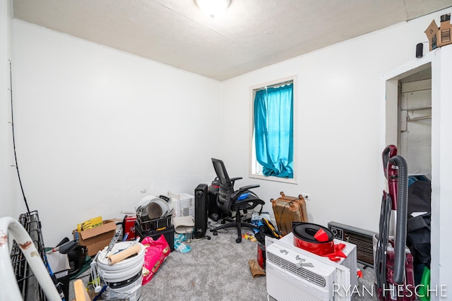 10340 Kartz Rd, Greenville, MI 48838 - home office with carpet floors