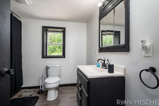 10340 Kartz Rd, Greenville, MI 48838 - bathroom featuring healthy amount of natural light, wood finished floors, vanity, and a textured ceiling