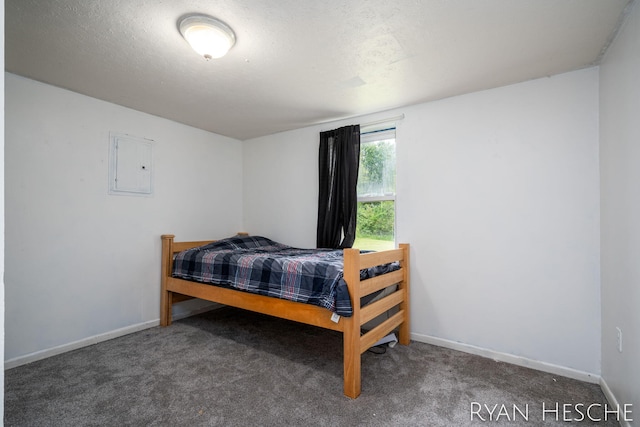 10340 Kartz Rd, Greenville, MI 48838 - bedroom with electric panel and carpet