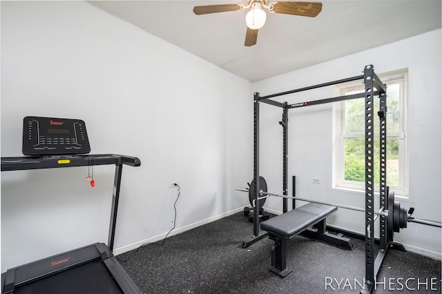 10340 Kartz Rd, Greenville, MI 48838 - workout area featuring ceiling fan and baseboards