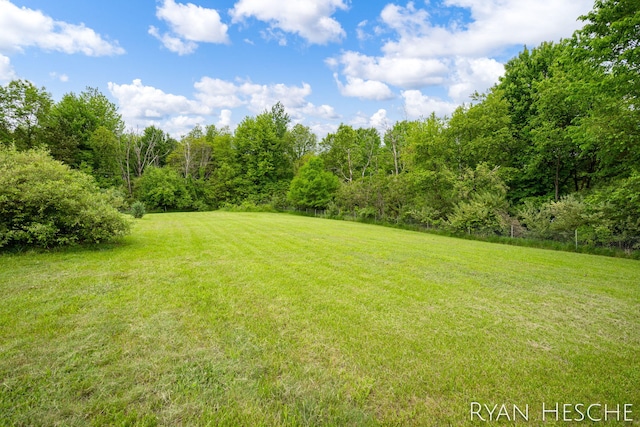 10340 Kartz Rd, Greenville, MI 48838 - view of green lawn featuring a forest view