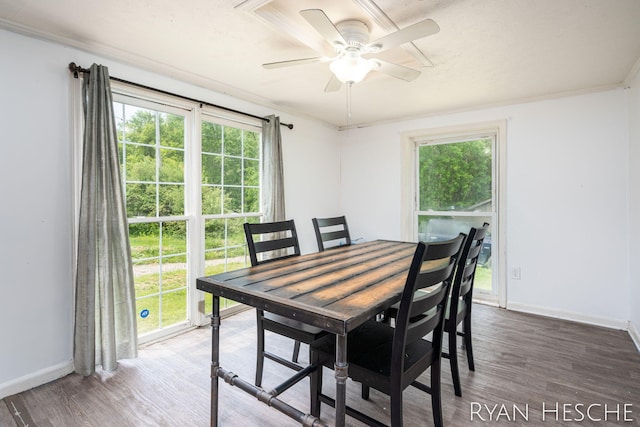 10340 Kartz Rd, Greenville, MI 48838 - dining space featuring healthy amount of natural light, wood finished floors, a ceiling fan, and crown molding