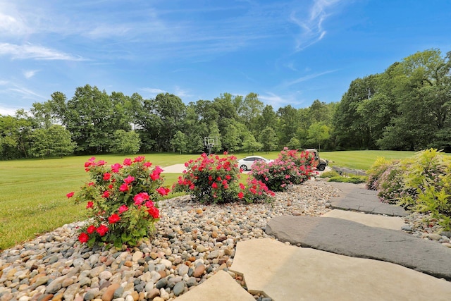 7074 S Ainger Rd, Olivet, MI 49076 - view of grassy yard