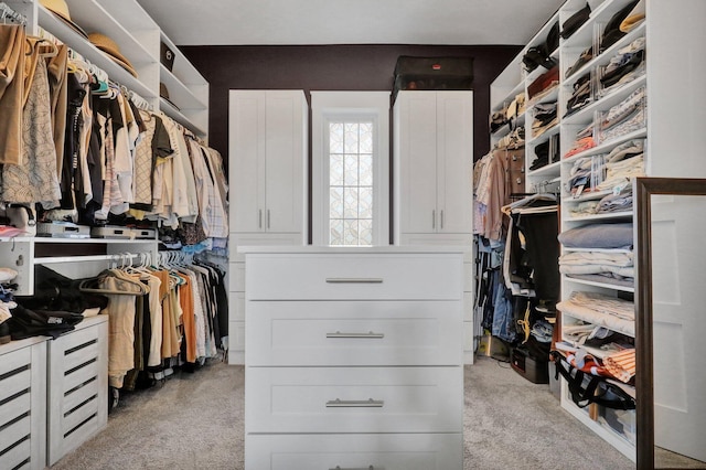 7074 S Ainger Rd, Olivet, MI 49076 - spacious closet featuring light carpet