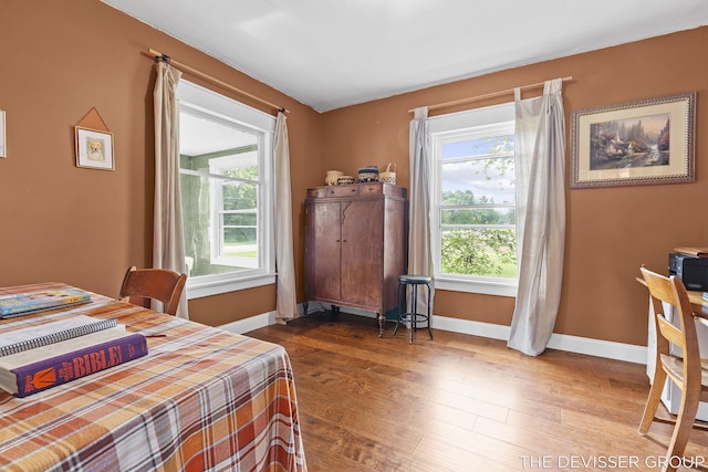 3665 47th St, Hamilton, MI 49419 - bedroom with multiple windows and hardwood / wood-style floors