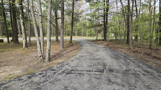 211 Skocelas Rd N, Manistee, MI 49660 - view of asphalt road with a view of trees