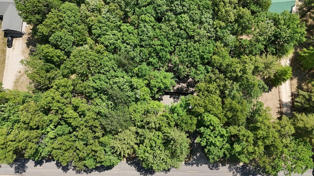 211 Skocelas Rd N, Manistee, MI 49660 - aerial view