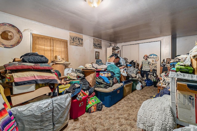 724 E Ludington Ave, Ludington, MI 49431 - bedroom with carpet