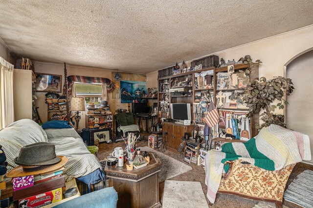 724 E Ludington Ave, Ludington, MI 49431 - carpeted living area featuring a textured ceiling and arched walkways